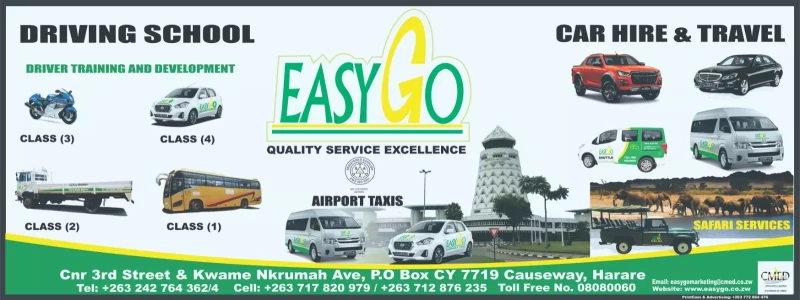 Easy Go Car Hire Banner